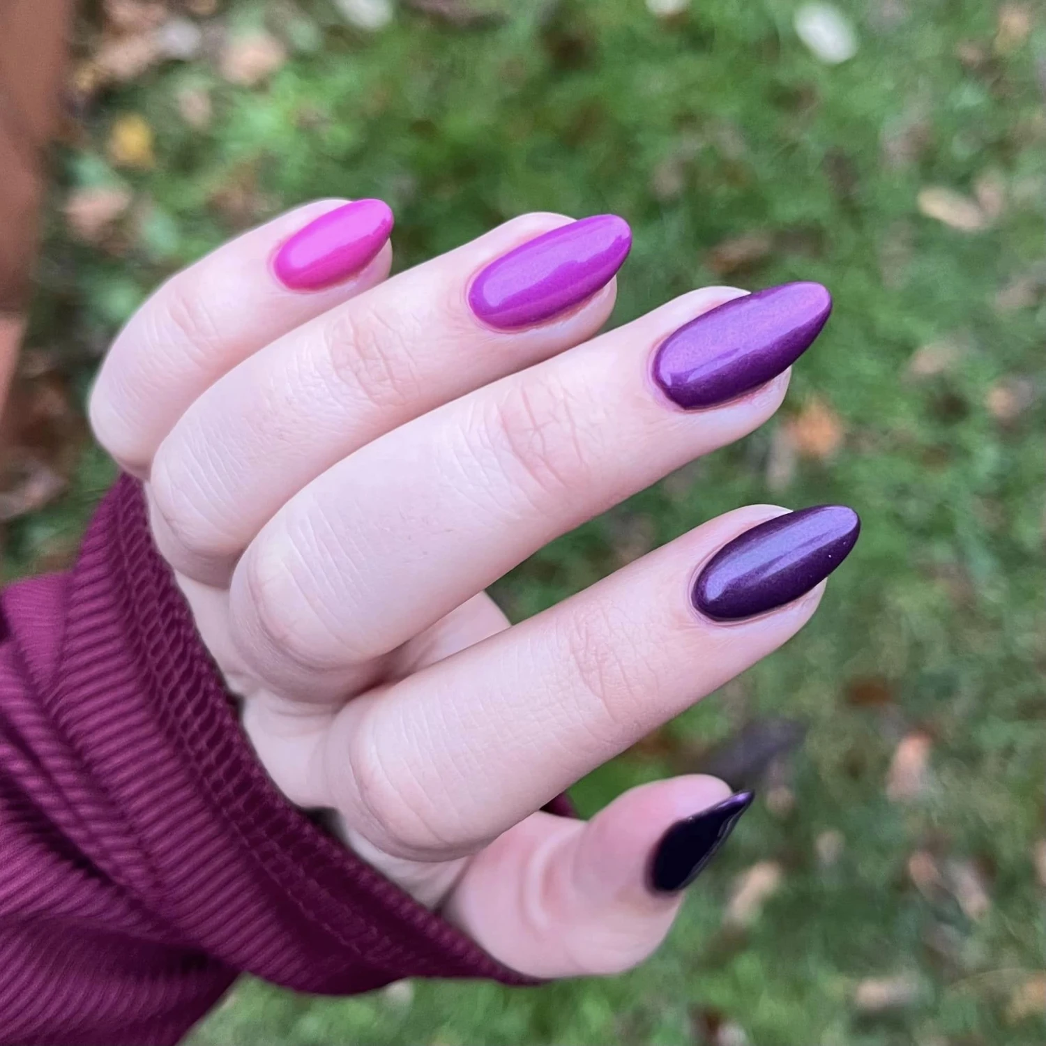 Eat, Drink & Be Berry | Tonal Set 4 Eat, Drink & Be Berry | Tonal Set - Image 2