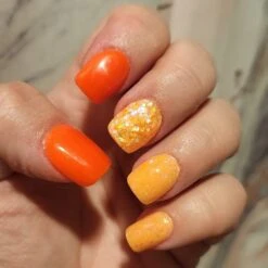 Orange Sherbet | Rainbow Sherbet Mini Mystery Box