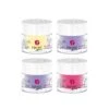 Past Pantone Shades Dip Powder Bundle -Revel Nail Store dip powder past pantone shades dip powder bundle 36233794191558