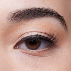 Daydreamer | Classic False Lashes