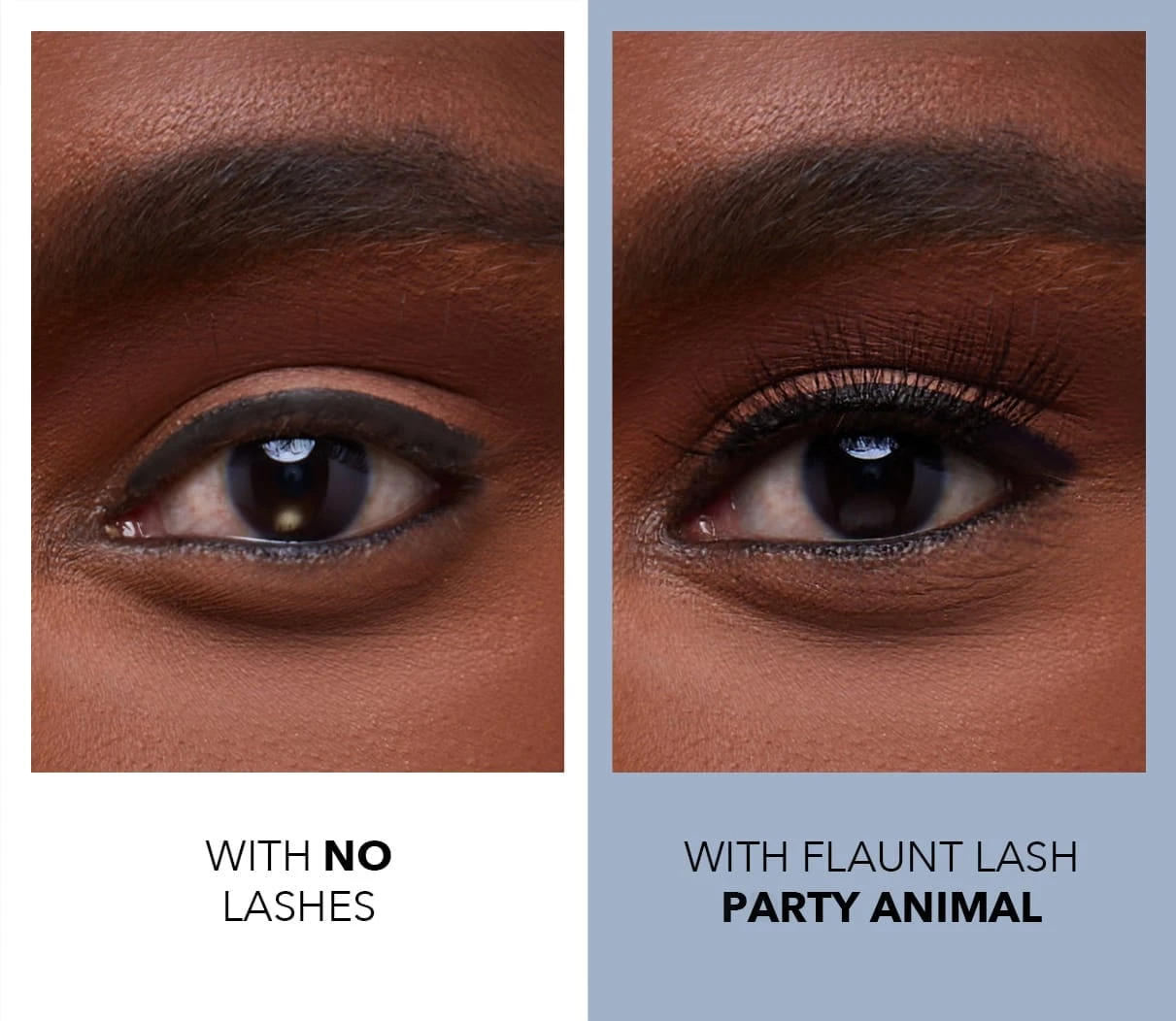 Party Animal | Classic False Lashes 4 Party Animal | Classic False Lashes - Image 2