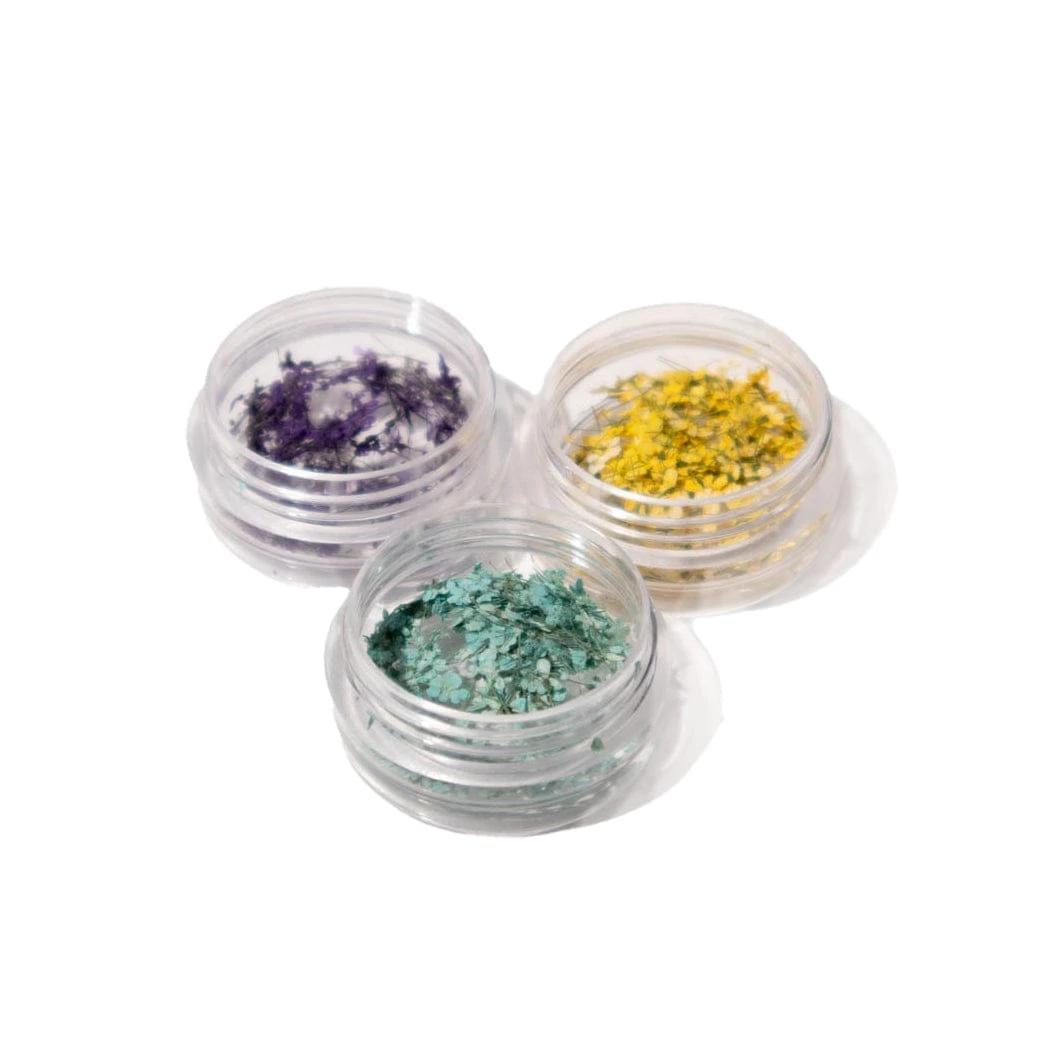 Dried Flowers Trio 3 Dried Flowers Trio